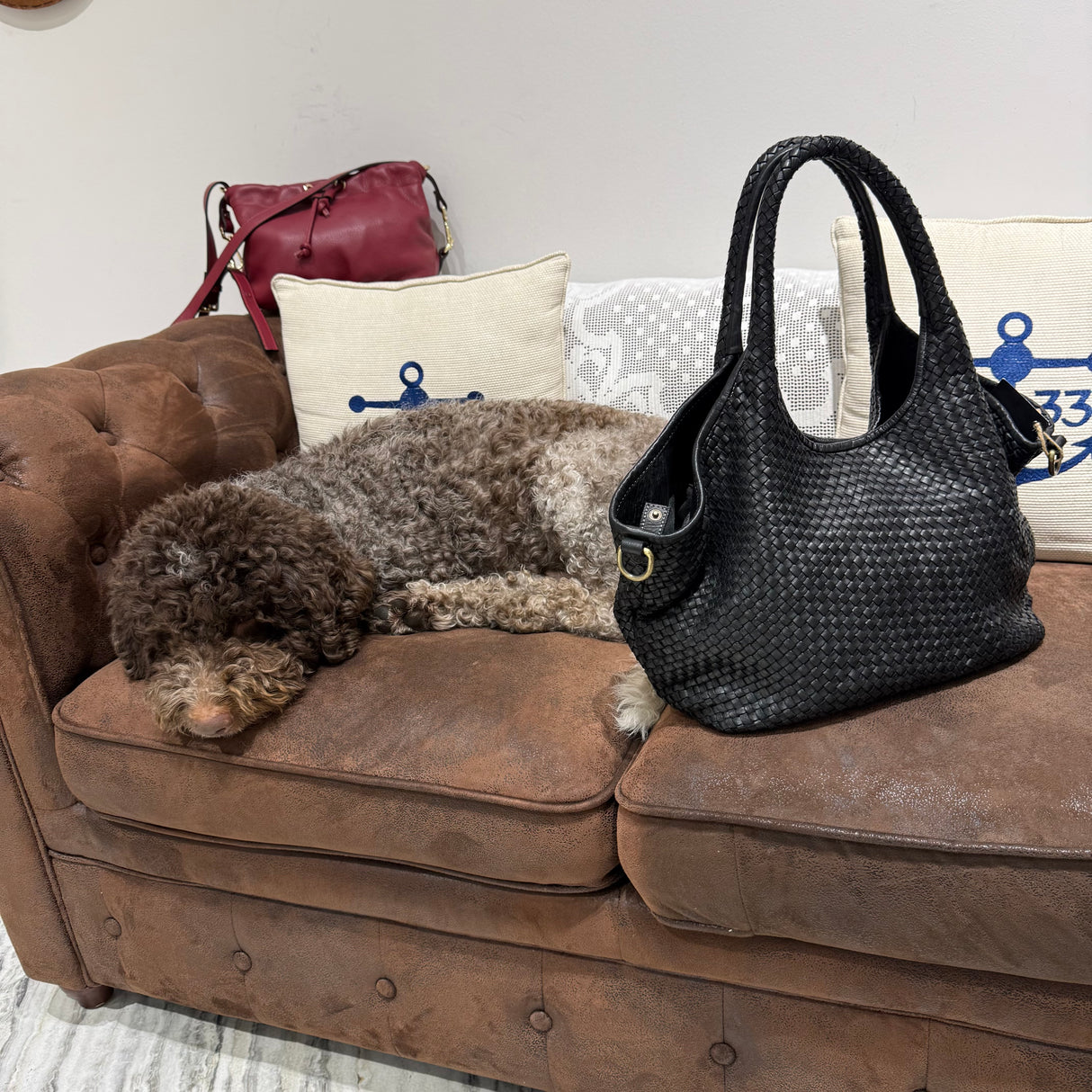 Borsa Shopper Harry intrecciata Black